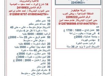 12340 فرصة عمل بـ 53 شركة خلال يناير الجارى