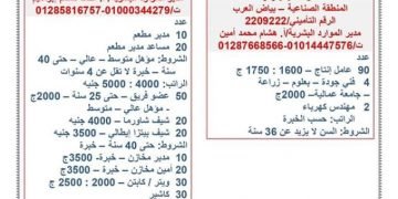 12340 فرصة عمل بـ 53 شركة خلال يناير الجارى