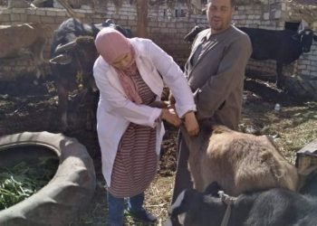 وضبط 124 كيلو جرام لحوم غير صالحة للإستهلاك الآدمي بالفيوم