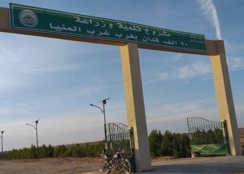 بالصور زراعة 3000 فدان بنجر و 1000 قمح بمشروع غرب المنيا