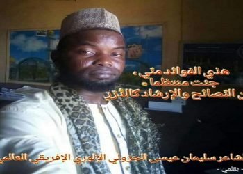 هذي الفوائدُ مِنِّي..  بقلم/ الشاعر سليمان عيسى الجزولي