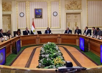 رئيس الوزراء يُتابع نتائج أعمال اللجنة المختصة بدراسة مشروع استزراع أراضي مناطق غرب المنيا