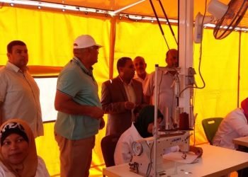 وزير القوي العاملة: التدريب علي مهن الأرابيسك والسجاد والكليم ومخلفات النخيل