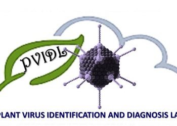 “الزراعة” تعلن حصول معمل تشخيص وتعريف فيروسات النبات على الاعتماد الدولي