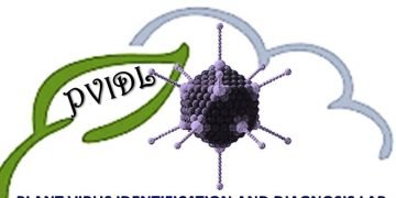 “الزراعة” تعلن حصول معمل تشخيص وتعريف فيروسات النبات على الاعتماد الدولي