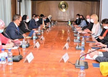 وزيرة التجارة والصناعة تبحث مع نظيرتها السويدية سبل النهوض بالتعاون الاقتصادى والاستثماري  بين البلدين