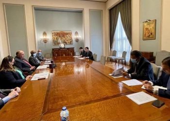 شكري في الاجتماع الافتراضي لمجلس السلم والأمن الأفريقي حول ليبيا