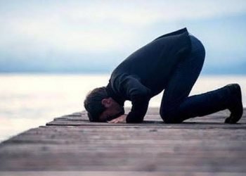 من عجائب السجود .. بقلم / هشام صلاح