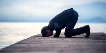 من عجائب السجود .. بقلم / هشام صلاح