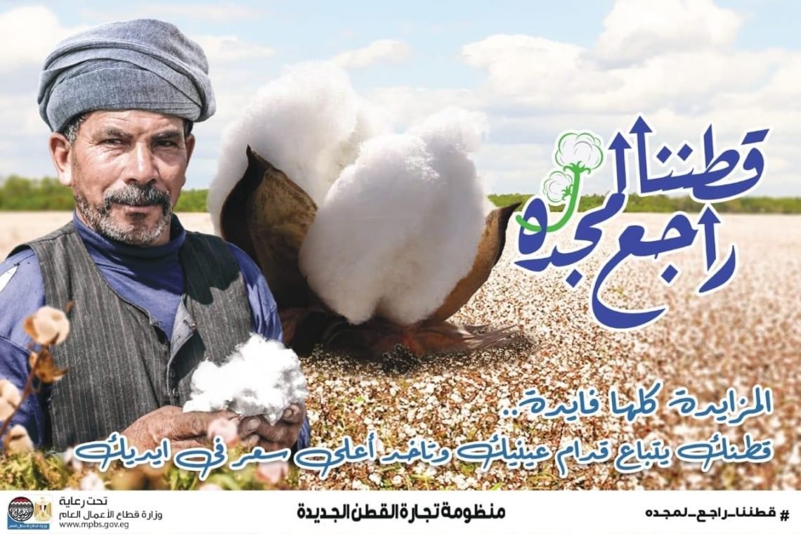 “قطاع الأعمال”: 3715 جنيها سعر القنطار في أول مزاد للقطن موسم 2021-2022