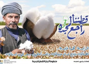 “قطاع الأعمال”: 3715 جنيها سعر القنطار في أول مزاد للقطن موسم 2021-2022