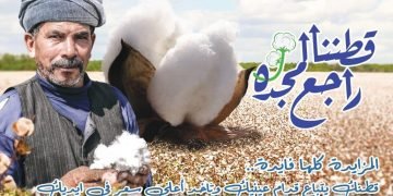 “قطاع الأعمال”: 3715 جنيها سعر القنطار في أول مزاد للقطن موسم 2021-2022