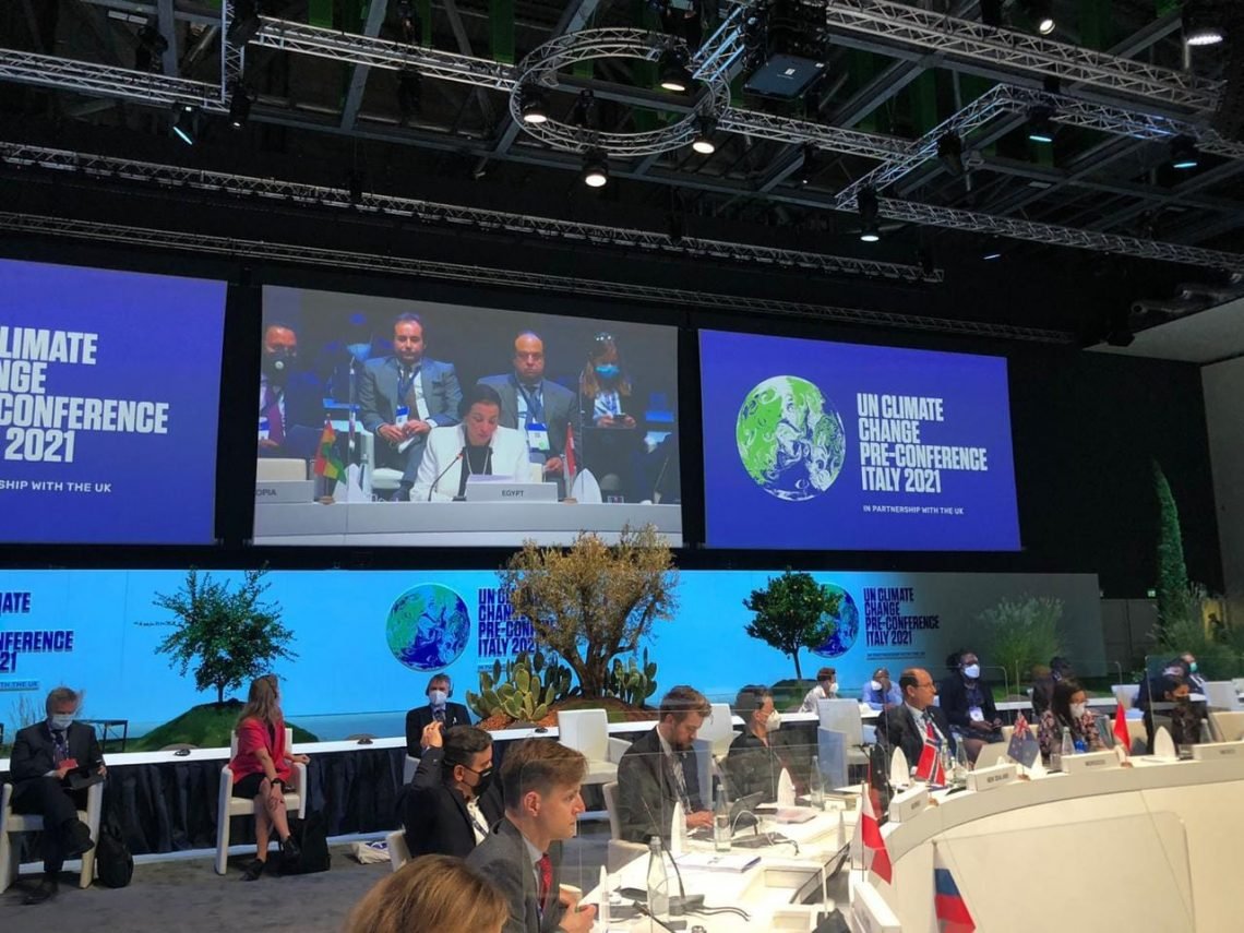 د. ياسمين فؤاد : رئاستنا لتسيير جلسة تمويل المناخ.. دليل على دور مصر الريادى فى قضية تمويل المناخ