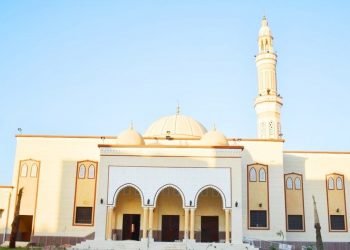 وزارة الأوقاف.. 15,4% زيادة في أرباح وإيرادات هيئة الأوقاف المصرية