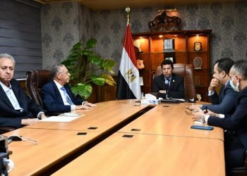 صبحي…حريصون على اتخاذ كافة الخطوات لتصحيح مسار الطائرة المصرية