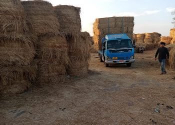 البيئة تواصل جهودها للحد من نوبات تلوث الهواء الحادة