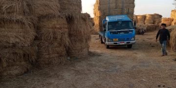 البيئة تواصل جهودها للحد من نوبات تلوث الهواء الحادة