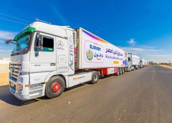 صندوق تحيا مصر ينظم قافلة حماية اجتماعية بالواحات البحرية