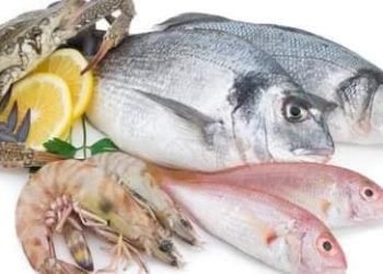 تفسير رؤيه السمك