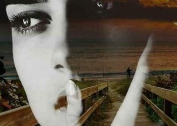 الحبيب.. بقلم/صفاء مسعود