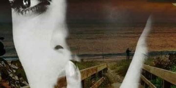 الحبيب.. بقلم/صفاء مسعود