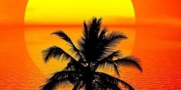 احلامي .. بقلم صفاء مسعود