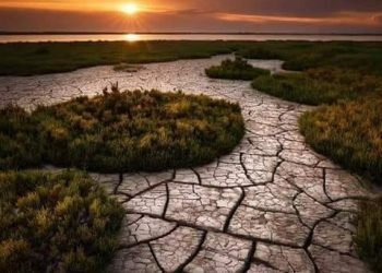 عطشت الأرض .. بقلم صفاء مسعود