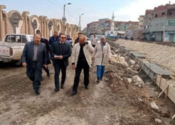 حياه كريمه  لمركز كفر سعد