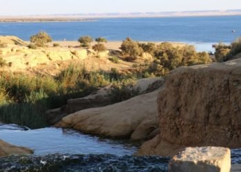 السيد حجاج يكتب : السيسي حامي النيل وراعي الثقافة في مصر