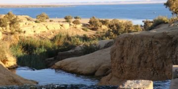 السيد حجاج يكتب : السيسي حامي النيل وراعي الثقافة في مصر