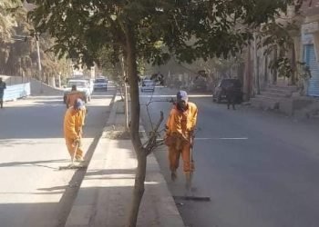 جهود الوحدة المحلية لمركز ومدينة بني سويف في ملفات التجميل والنظافة وتحسين مستوى الخدمات