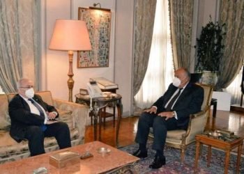 شكري يستقبل وزير الخارجية الجزائري