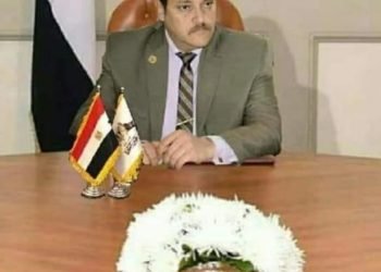 مؤتمر التنمية المستدامة ورؤية مصر ٢٠٣٠ في عامة الثاني