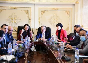 «المشاط» تستعرض نتائج اللجان المشتركة مع دول ليبيا وجنوب السودان وأطر التعاون الاقتصادي مع دول القرن الأفريقي