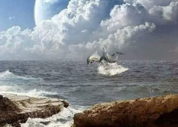 عندما يمرح المطر .. بقلم. صفاء مسعود