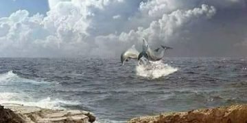 عندما يمرح المطر .. بقلم. صفاء مسعود