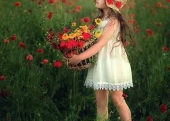 انا حد عادي ..بقلم. صفاء مسعود