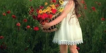 انا حد عادي ..بقلم. صفاء مسعود