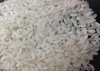 دراسة علمية تؤكد علاقة الأرز بالإصابة بالسرطان