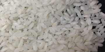 دراسة علمية تؤكد علاقة الأرز بالإصابة بالسرطان