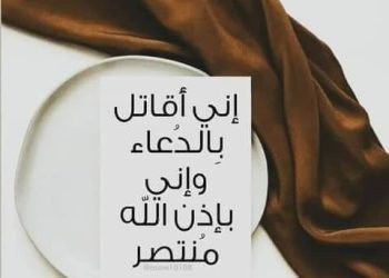 انا لا فكري ضل..  بقلم. صفاء مسعود