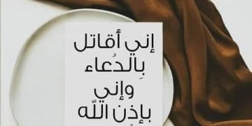 انا لا فكري ضل..  بقلم. صفاء مسعود