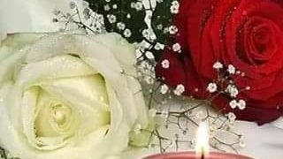 ياريت الفرح .. بقلم. صفاء مسعود