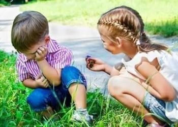 بلدنا احسن بلد.. بقلم. صفاء مسعود