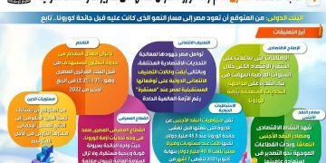 بالإنفوجراف : صلابة الإقتصاد المصري أمام أزمة كورونا تفرض نفسها