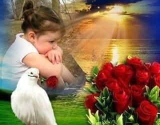 الحب مش بنت وولد.. بقلم صفاء مسعود