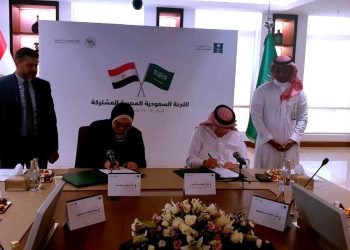 مصر والسعودية تتفقان على تعزيز التعاون المشترك في مجالات الصناعة والتجارة