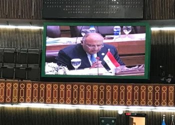 كلمة وزير الخارجية .. أمام الدورة ٤٨ لمجلس وزراء خارجية دول منظمة التعاون الإسلامي