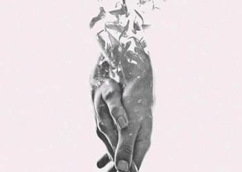 حبيب العمر .. بقلم. صفاء مسعود