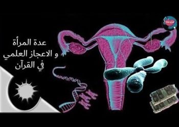 عدة المرأة والإعجازالعلمى فى القرآن